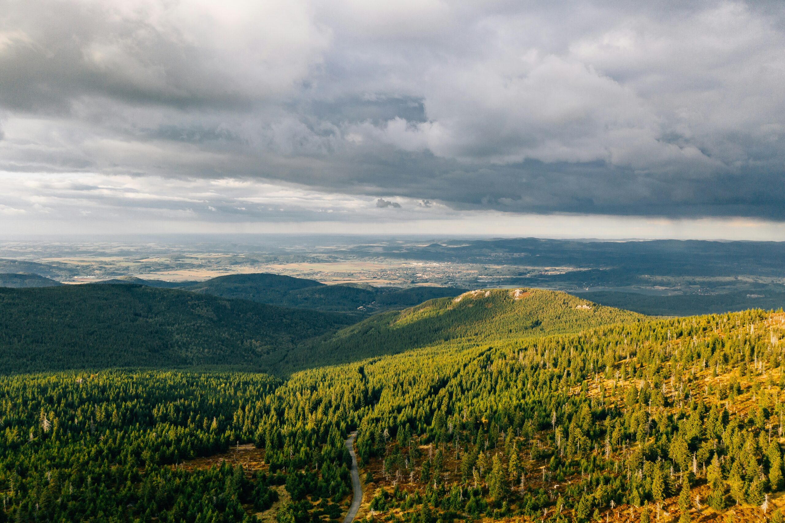 marcin-jozwiak-Ed2DmcYu0cg-unsplash